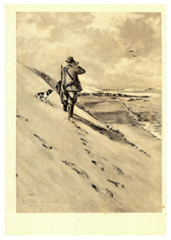 "Auf der Hohen Düne bei Pillkoppen" - Motiv der Postkartenserie der Vogelwarte Rossitten
